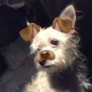 Meet your Posher, Zane